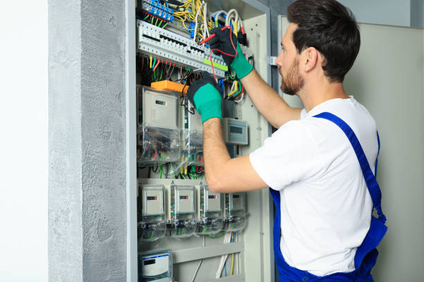 Best Affordable Electrician  in Wauchula, FL