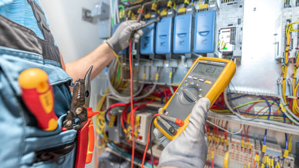 Best Electric Panel Repair  in Wauchula, FL